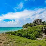 Pure Tulum 303
