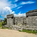Pure Tulum 303